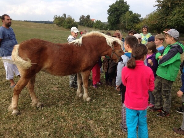 Jezdecká stanice Chaloupky (foto 1)