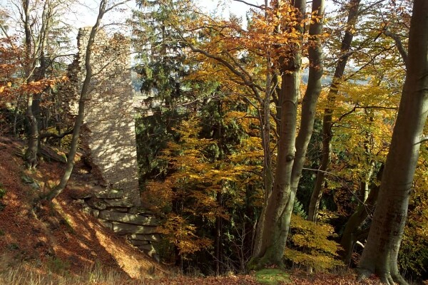 Geoparkem Vysočina se psem (foto 1)
