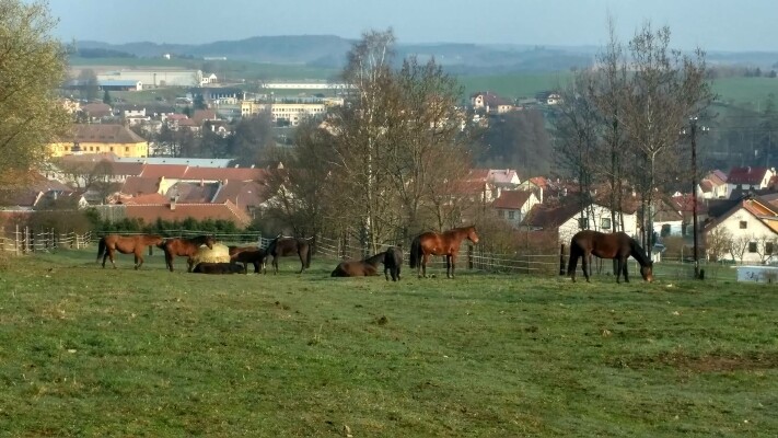 Stáj Batelov Jelínková (foto 1)