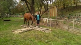 Stáj Batelov Jelínková (foto 3)