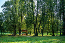 Zámecký park Jemnice (foto 5)