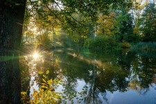 Zámecký park Jemnice (foto 6)