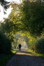 Zámecký park Jemnice (foto 8)