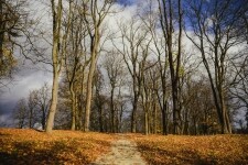 Zámecký park Jemnice (foto 9)