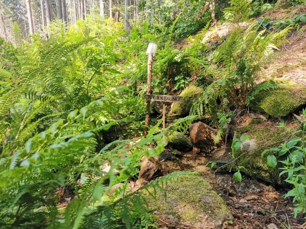 Hřebenovka Arnoleckých hor (foto 1)