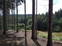 Na Čeřínek a Čertův hrádek (foto 3)