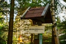 Z Počátek vzhůru na Javořici (foto 6)