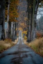 Údolí Oslavy (foto 3)