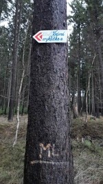 Výšlap na Svidník a výhledy z Krásné vyhlídky (foto 2)