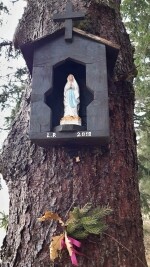 Výšlap na Svidník a výhledy z Krásné vyhlídky (foto 4)