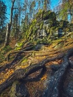 Údolí řeky Doubravy (foto 6)