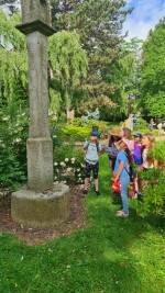 Muzeum Vysočiny Pelhřimov (foto 6)