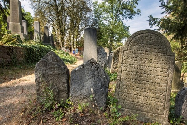 Židovský hřbitov Třebíč (foto 1)