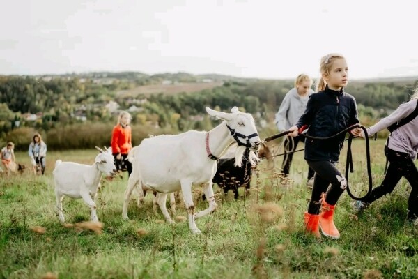 Kozí spolek v Třebíči (foto 1)