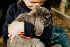 Kozí spolek v Třebíči (foto 6)