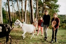 Kozí spolek v Třebíči (foto 2)