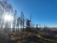 Rozhledna Rubačka u Nového Telečkova (foto 4)