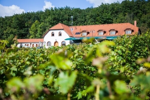 HOTEL SÁDEK (foto 1)