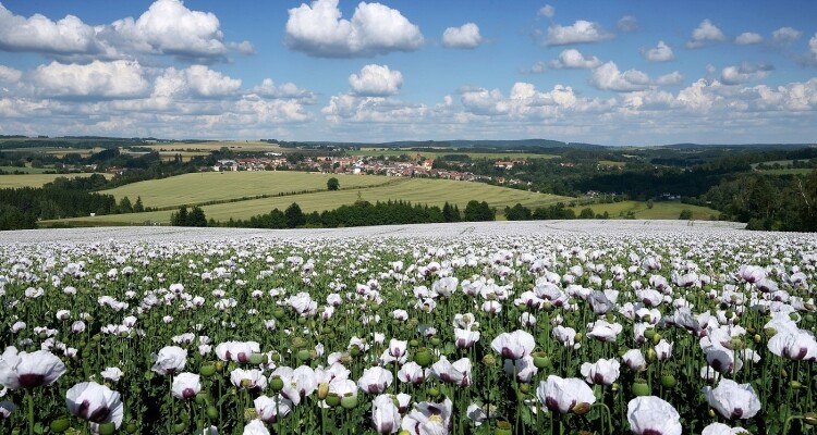 4. Přibyslav - Žďár nad Sázavou (foto 1)