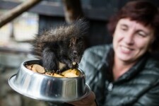 Z Pavlova pochází Vydrýsek (foto 3)