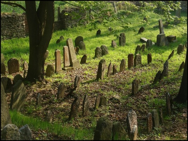 Židovský hřbitov Polná (foto 1)