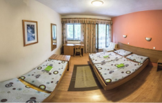 POUTNÍ HOTEL KŘEMEŠNÍK (foto 3)