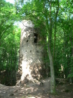 Zřícenina hradu Chřenovice (foto 5)