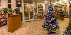 HOTEL PANGEA (foto 4)