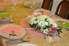 RAFAEL RESTAURACE A PENZION (foto 5)