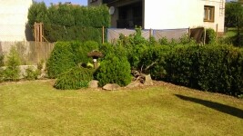 Restaurace U Martina (foto 3)