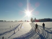 Běžecké lyžařské trasy na Novoměstsku (foto 5)