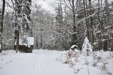 Běžecké lyžařské trasy na Bystřicku (foto 4)
