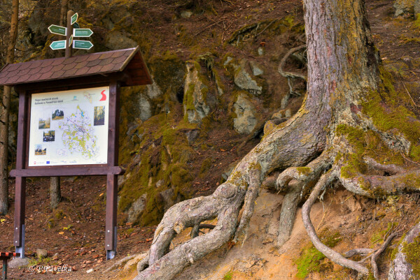 Naučné stezky Balinské a Nesměřské údolí (foto 1)