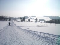 Běžecké lyžařské trasy na Chotěbořsku (foto 3)
