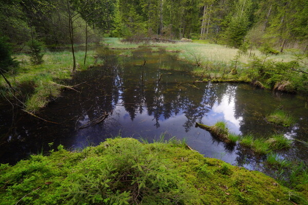 Ranská jezírka (foto 1)