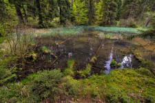 Ranská jezírka (foto 2)