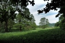 Přírodní rezervace Zlatá louka (foto 2)