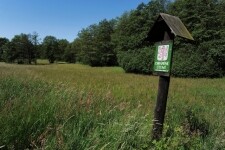 Přírodní rezervace Hroznětínská louka a olšina (foto 2)