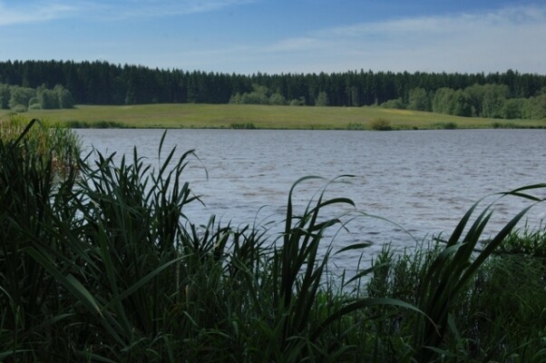 Přírodní rezervace Niva Doubravy (foto 1)