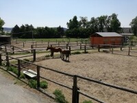 Dětský zábavní park Dvůr Střítež (foto 12)