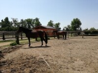 Dětský zábavní park Dvůr Střítež (foto 14)