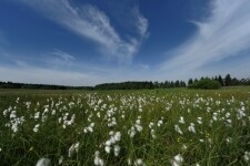 Přírodní rezervace Niva Doubravy (foto 3)