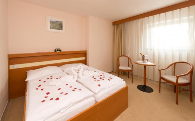 HOTEL SVRATKA (foto 1)