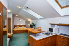 HOTEL JELÍNKOVA VILA (foto 3)