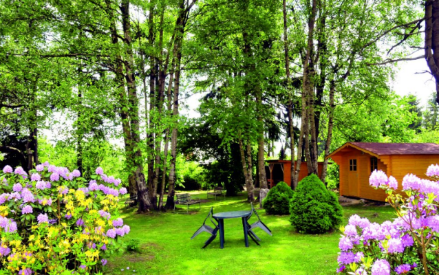 PENZION VE VILE (foto 1)