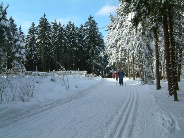 Běžecké lyžařské trasy Velké Meziříčí (foto 1)