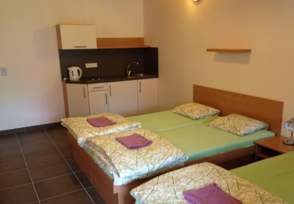 CHLUMECKÝ DVŮR (foto 1)