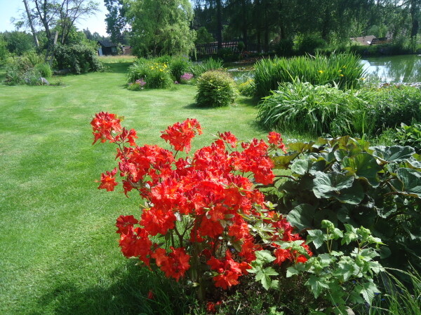 Ukázková přírodní zahrada Fexovi (foto 1)