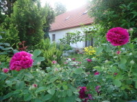 Ukázková přírodní zahrada Fexovi (foto 2)