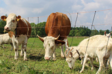 FARMA KUNDRATICE (foto 5)